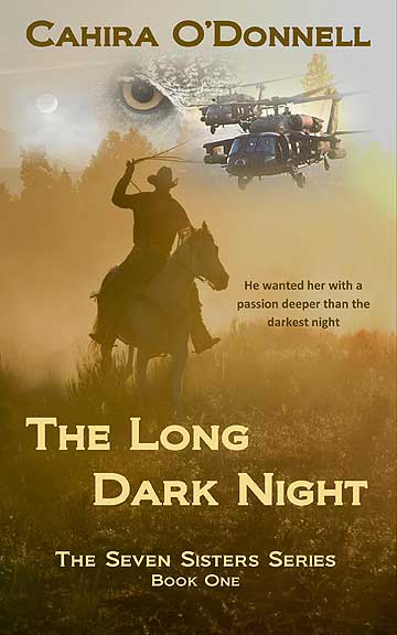 Long Dark Night cover